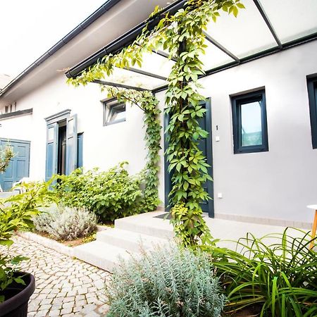 Apartmani Sterija Nowy Sad Zewnętrze zdjęcie